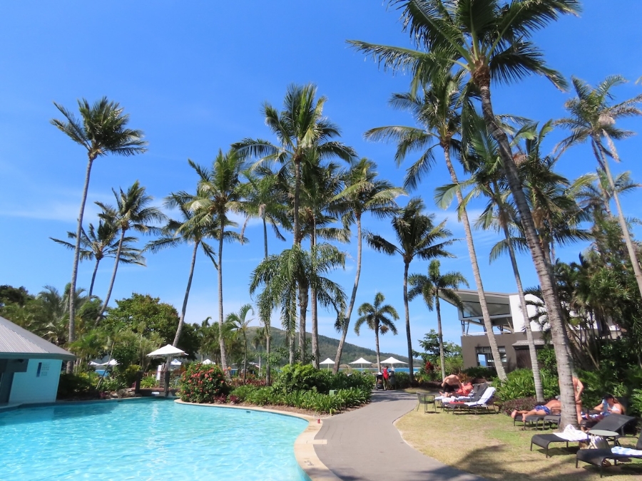 Planning to travel this winter? Don't leave until you make a will.